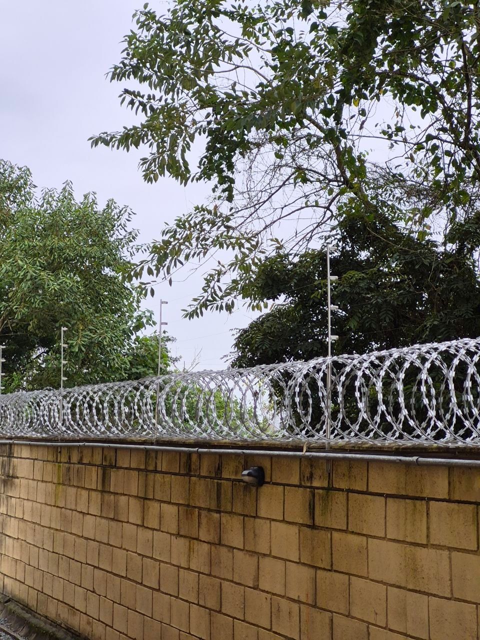 Muro de blocos com concertina e cerca elétrica no topo, hastes brancas entre as árvores